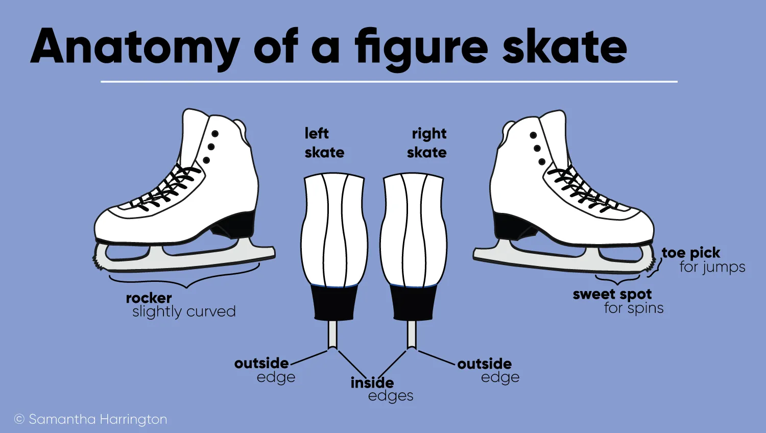 Anatomy of a figure skate